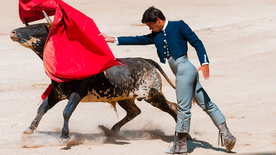 Bullfighter in a bullfight. Spain Bullfighter in a bullfight. Spain