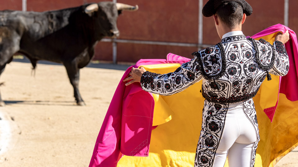 Bullfighter in a bullfight. Spain Bullfighter in a bullfight. Spain