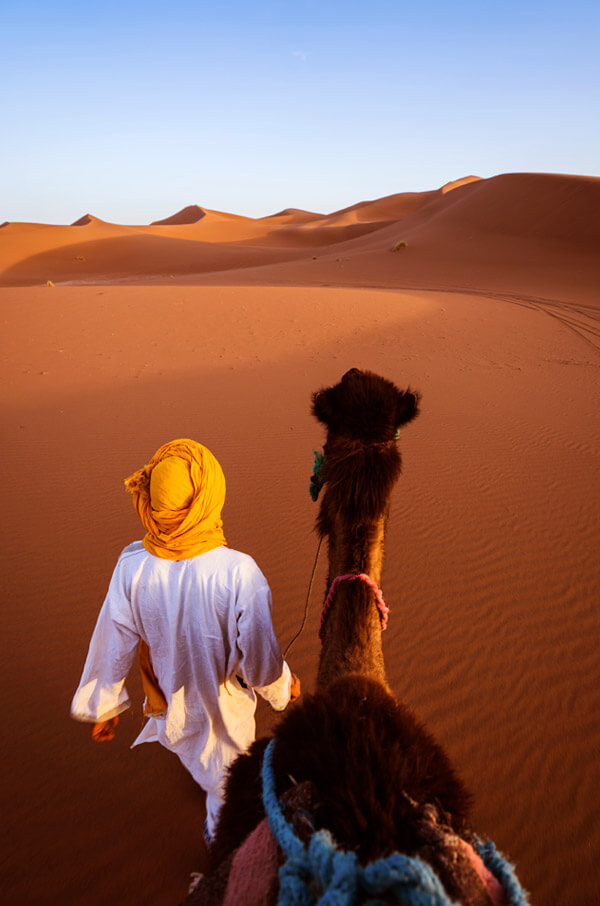 The Sahara experience
