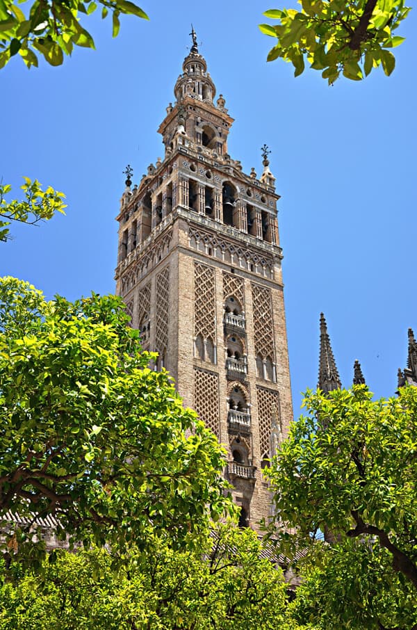 The Cathedral of Sevilla. Spain The Cathedral of Sevilla. Spain